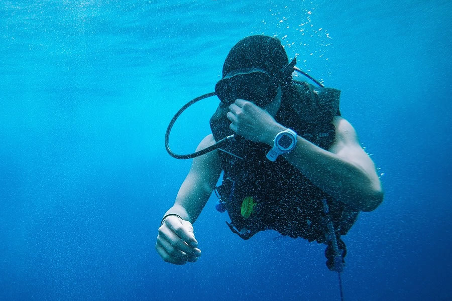 The Watch of Wall Street: Top Dive Watches of 2019, CSQ